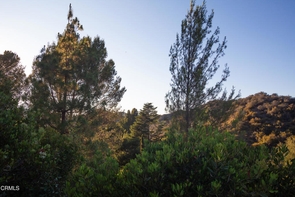 Custom - Residential