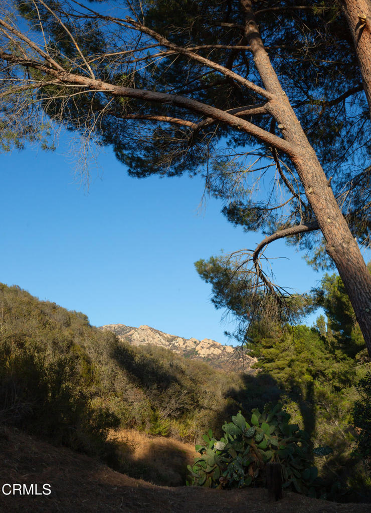 Custom - Residential