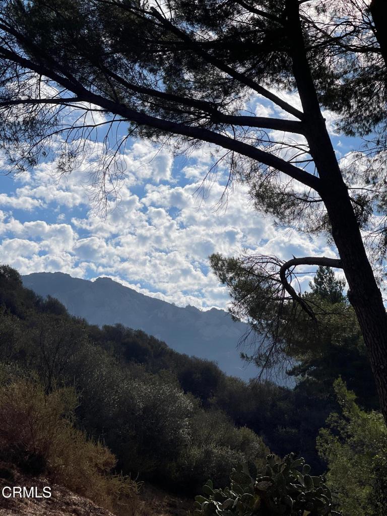 Custom - Residential