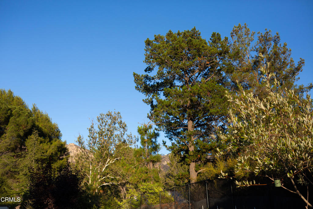 Custom - Residential