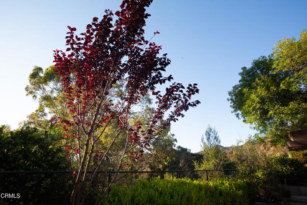 Custom - Residential