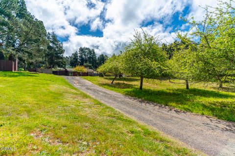 Photo of 16801 Franklin Road, Fort Bragg, CA 95437 (MLS # C1-11360)
