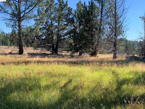 Photo of Susanville, CA 96127 (MLS # 41147231)