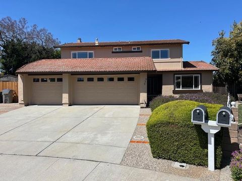 Photo of 929 Cape Morris Place, San Jose, CA 95133 (MLS # ML82043410)