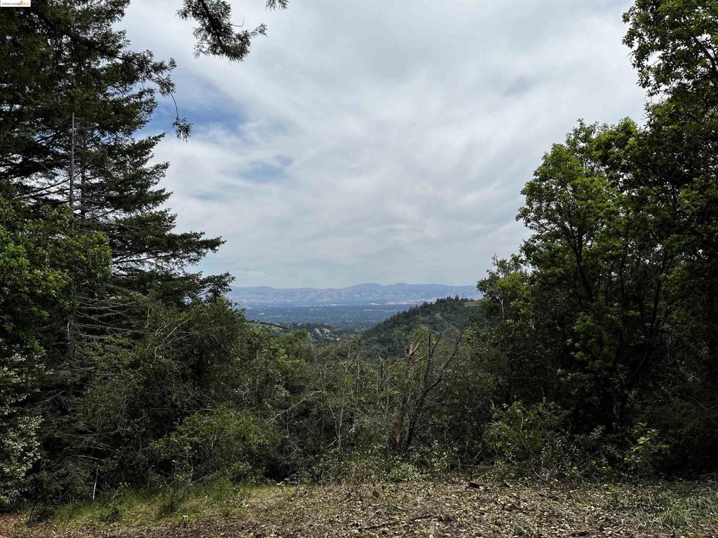 Come enjoy and explore this one-of-a-kind, picturesque 60-acre parcel just minutes from historic downtown Saratoga. It’s only about 4 miles from all the charming shops and restaurants and the stunning concert venue, the Mountain Winery. And a short drive away is the heart of the Silicon Valley. There is an abundance of parks and recreation areas nearby. This lush parcel is covered with trees including beautiful coastal redwood. The breathtaking views will inspire you to create your own special retreat to share with family and friends. Enjoy the beauty of the Santa Cruz mountains. This land is awaiting your vision!