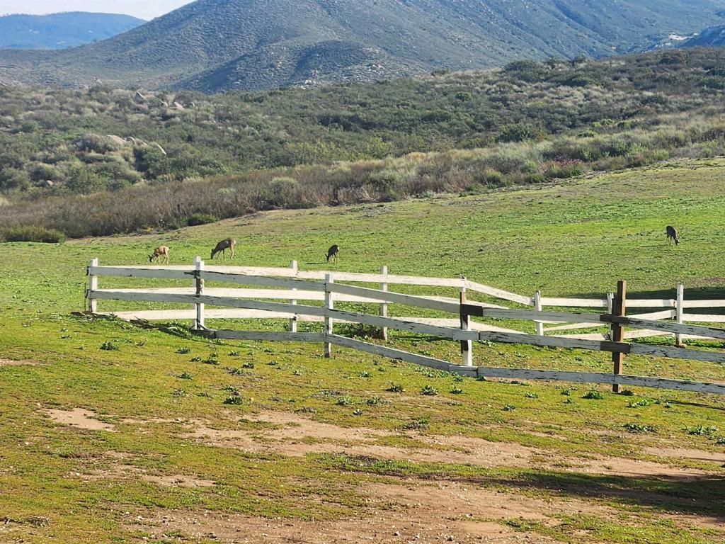 It's not just a home it's a lifestyle. This strikingly remodeled ranch style home is on OVER 4 ACRES and is adjacent to THOUSANDS OF ACRES OF CLEVELAND NATIONAL FOREST. Enjoy the privacy, nature and endless trails to ride your horse or hike to a WATERFALL from your backyard. 2 car attached garage plus 24x36 HEATED SHOP w/100 amp service and sauna. Hook ups to add a TINY HOUSE or RV. Paid for SOLAR + back up GENERATOR have supplied 100% of the utilities. Stunning home features 100% waterproof luxury vinyl and slate style tile flooring, barn door detail, authentic masonry used brick fireplace. Fruit tree orchard with orange, lemon, lime, peach, pear, plum, apple and pomegranate all on drip. Reroofed appx 4 years ago. Rhino 450 and John Deere 160 lawnmover/tractor included