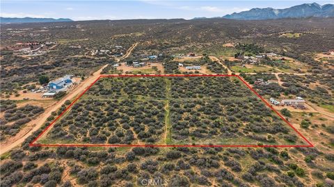 Photo of 7870 Woodcliff, Phelan, CA 92371 (MLS # DW26030699)