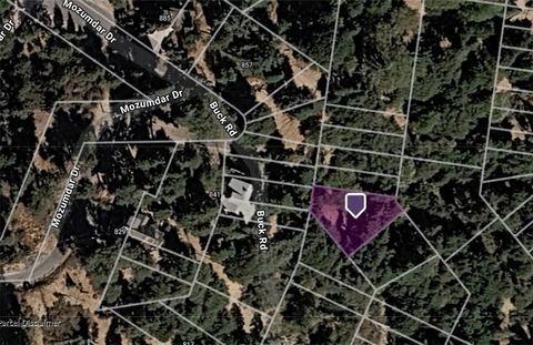 Photo of 0 Buck Road, Cedarpines Park, CA 92322 (MLS # PW26057574)