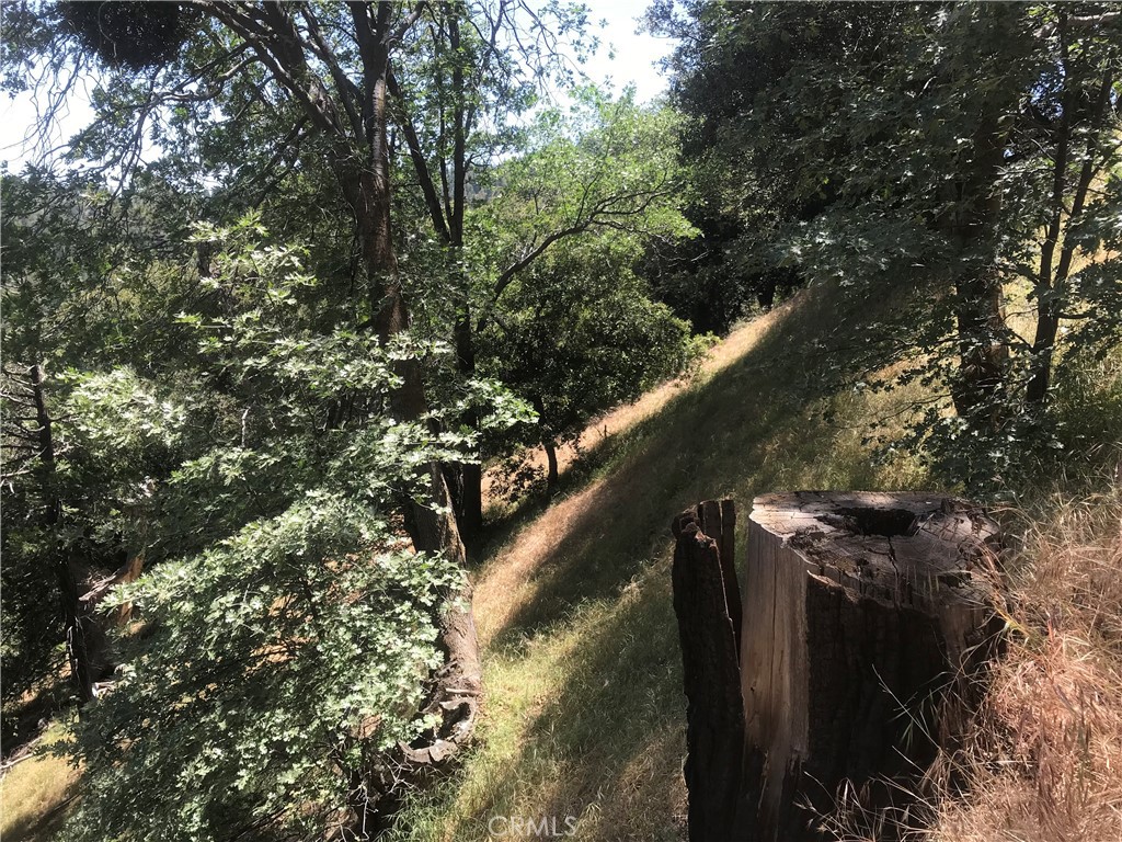 0 Buck Road