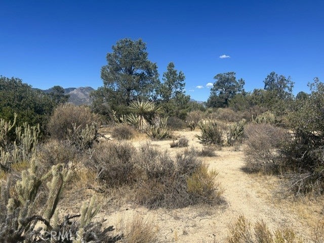 319 Alpine Dr