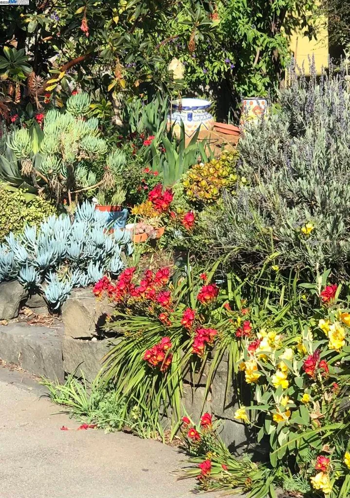 Alameda, California 94501, United States, 3 Bedrooms Bedrooms, ,2 BathroomsBathrooms,Residential,Active,239569