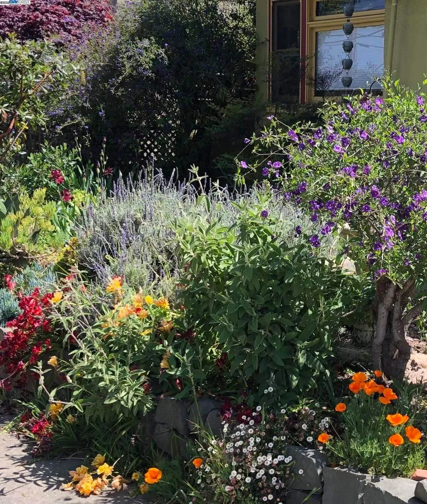 Alameda, California 94501, United States, 3 Bedrooms Bedrooms, ,2 BathroomsBathrooms,Residential,Active,239569