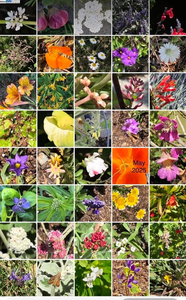 Alameda, California 94501, United States, 3 Bedrooms Bedrooms, ,2 BathroomsBathrooms,Residential,Active,239569