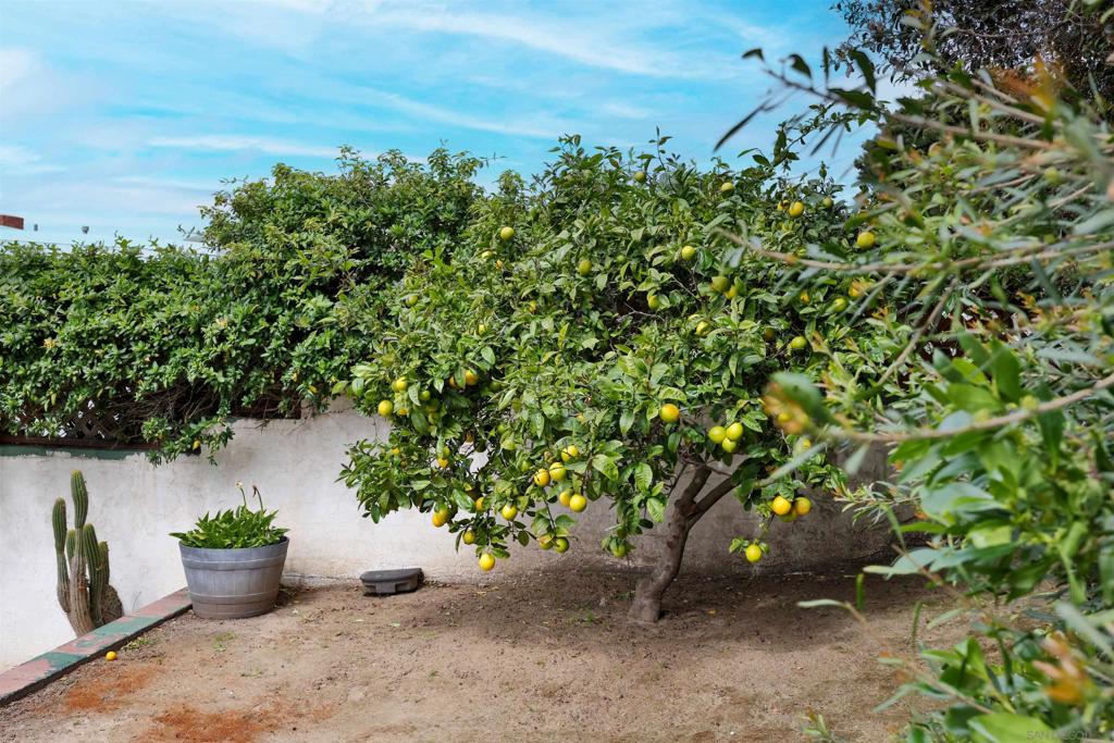 Point Loma - Residential