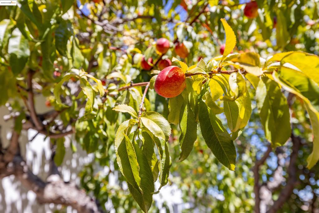 Not Listed - Residential