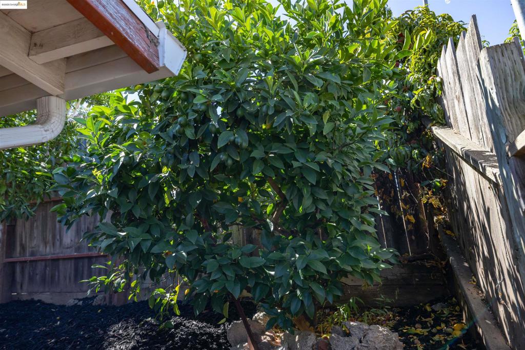 Not Listed - Residential