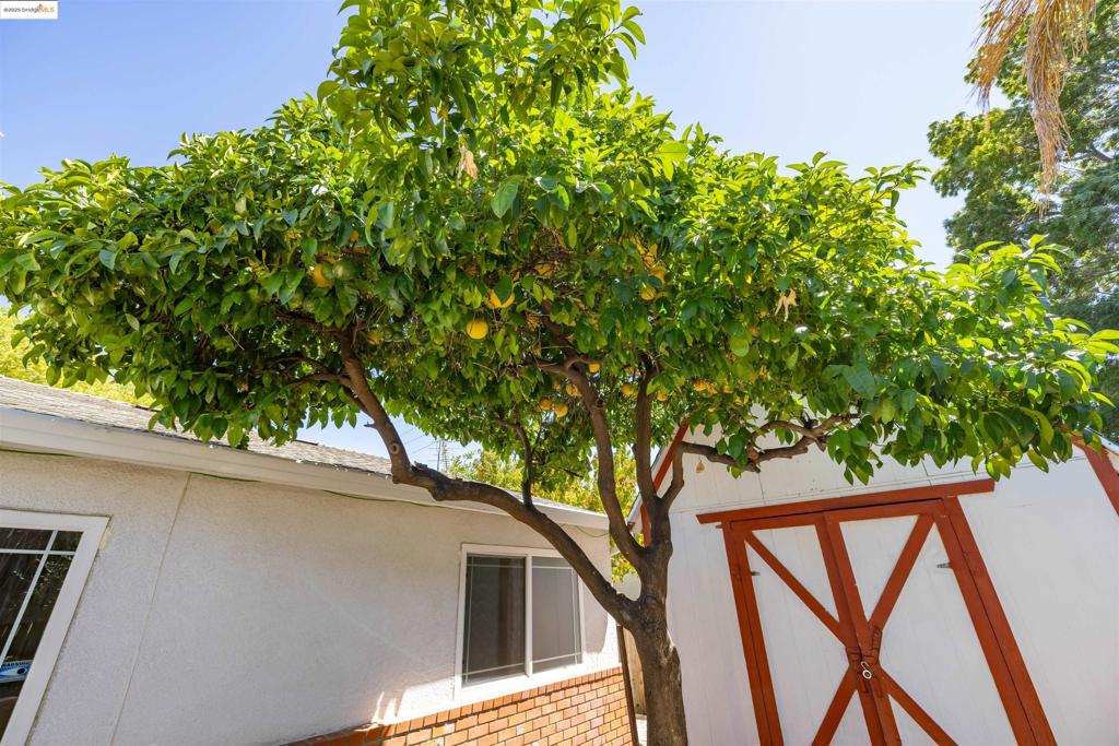 Not Listed - Residential