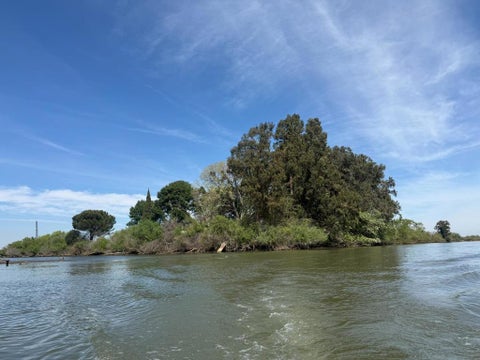 Photo of 0 Halls Island, Walnut Grove, CA 95690 (MLS # ML82065213)