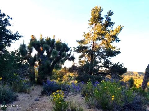 Photo of Off Big Pines Hwy. Road, Llano, CA 93544 (MLS # 225005664)
