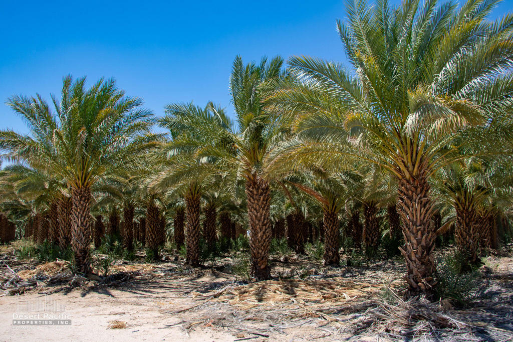 Not Applicable-1 - Land