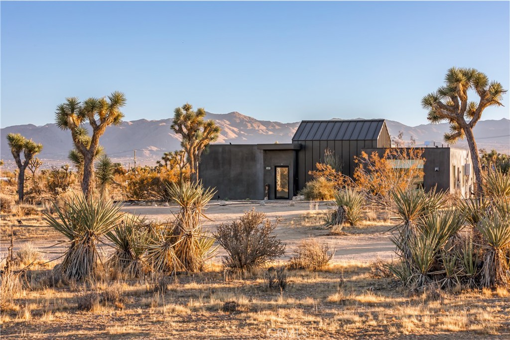 59068 Buena Vista
