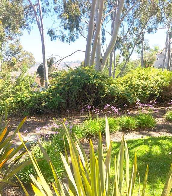 55 Fleurance, Laguna Niguel CA 92677 - Photo 35