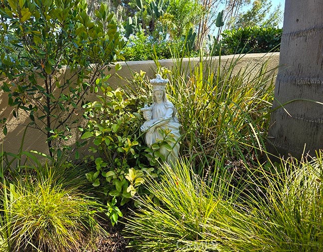 55 Fleurance, Laguna Niguel CA 92677 - Photo 30