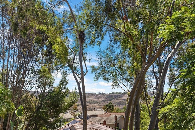 55 Fleurance, Laguna Niguel CA 92677 - Photo 32