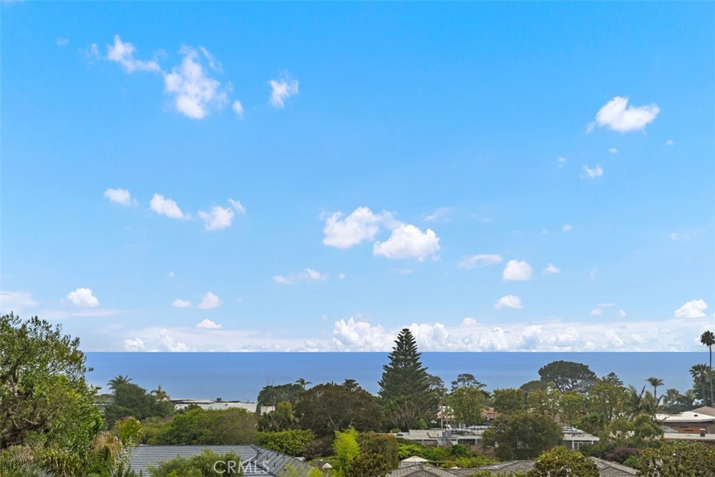 Enjoy the amazing ocean breeze and Catalina sunset views from this single level home located the highly desired community of Monarch Bay Terrace. This home offers a large open floor plan with panoramic ocean views from the living room, outdoor living space and throughout. This home features 3 bedrooms plus a large oversized office space. Primary bedroom boasts a generous en-suite with dual sinks, relaxing bathtub, stand alone shower and a large walk in closet with cedar lined walls and built-ins. The secondary bedroom is also en-suite and sits right across the hall. The third bedroom is located on the opposite side of the home giving privacy to your guests with nearby full bath. The oversized living room is a great space for entertaining with gorgeous vaulted ceilings, separate dining space, wet bar and fireplace; the perfect room for indoor outdoor living and to take in the evening sunsets. The kitchen has a sweet breakfast nook with a window to enjoy your coffee with a view, also a spacious pantry and plenty of counter space. Additional features include; separate laundry room, spacious garage, central heat and AC. This home sits on a single loaded street with a very private lot, it's a true gem! Minutes from the beach, shopping and dining, this home is a must see.