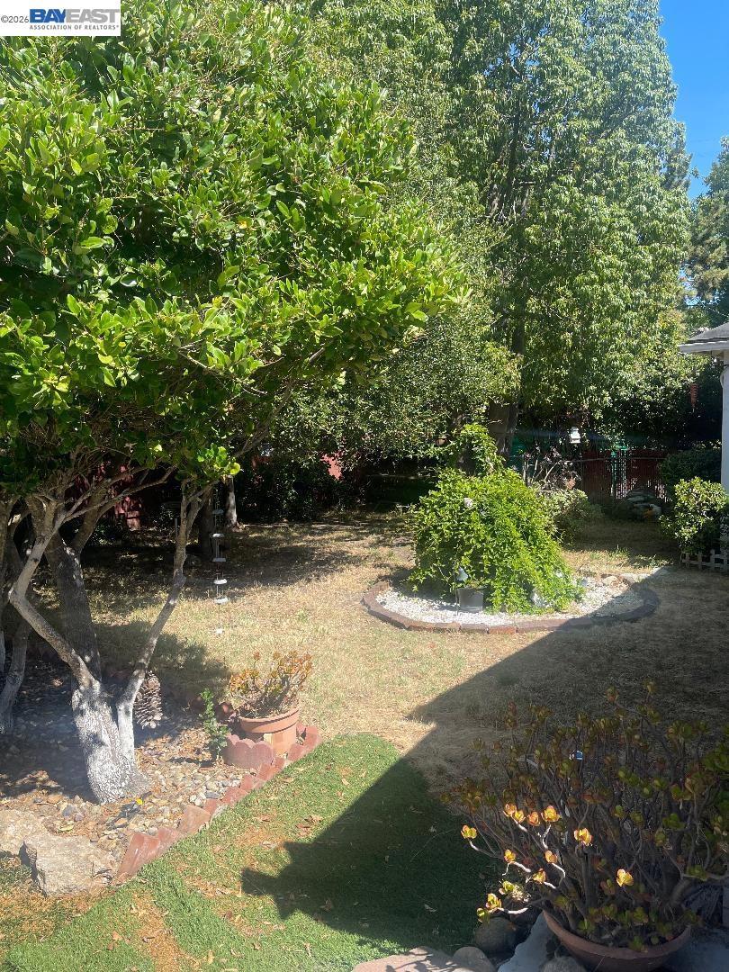 656 Juana Ave