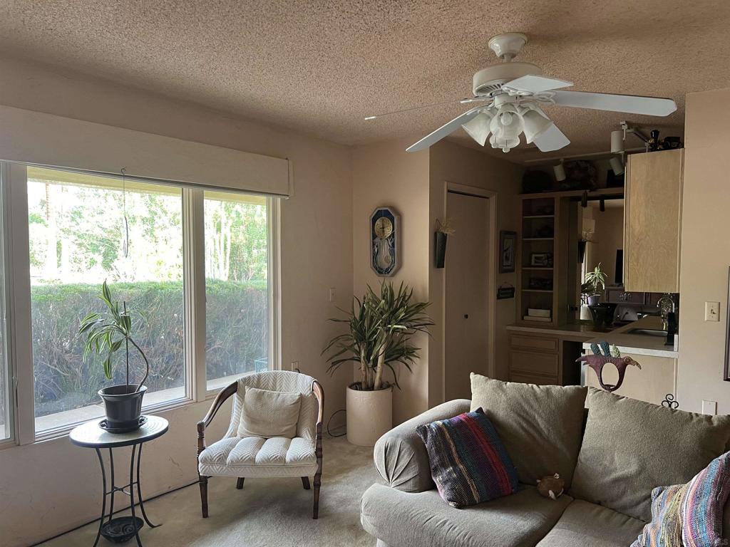 Borrego Springs - Residential