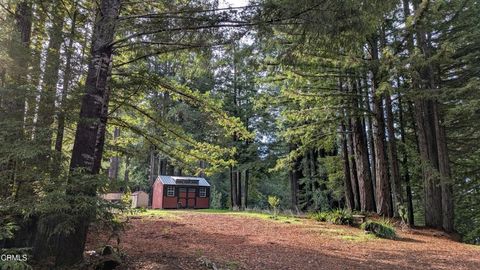 Photo of 19800 Appaloosa Way, Philo, CA 95463 (MLS # C1-11286)