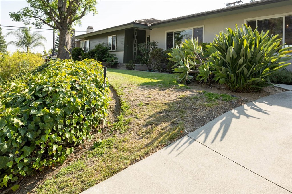 2011 Elkins Place