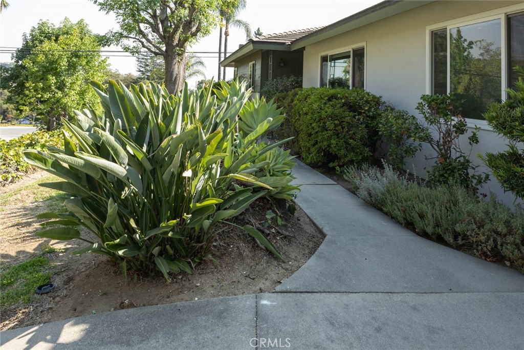 2011 Elkins Place