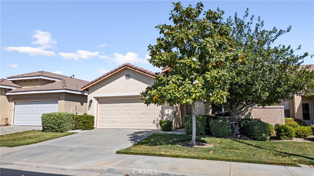 28216 Meadowsweet Drive