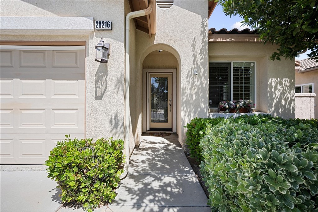 28216 Meadowsweet Drive