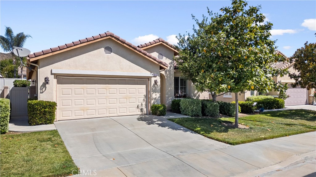 28216 Meadowsweet Drive