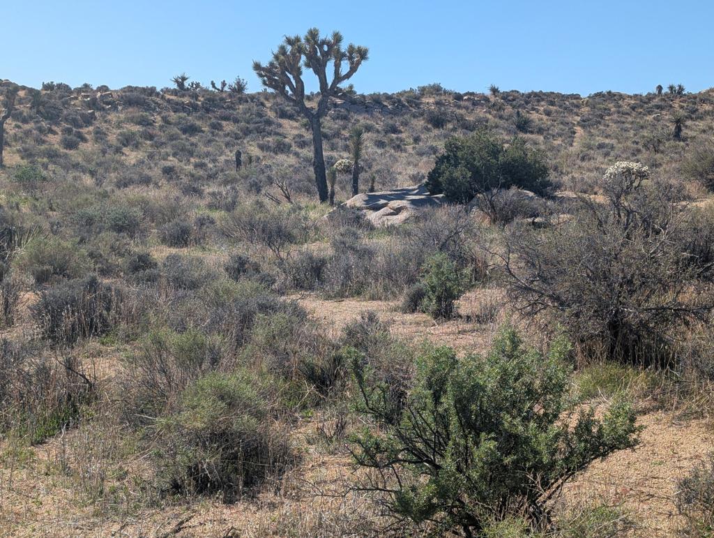 Not Applicable-1 - Land