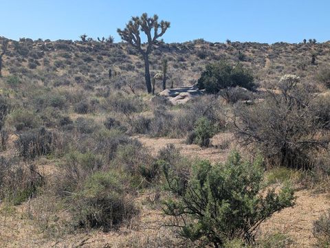 Photo of 52185 Jalmar Road, Yucca Valley, CA 92284 (MLS # 219137921DA) Photo of 52185 Jalmar Road, Yucca Valley, CA 92284 (MLS # 219137921DA)