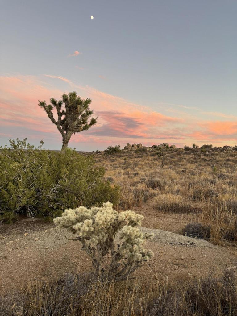 Not Applicable-1 - Land