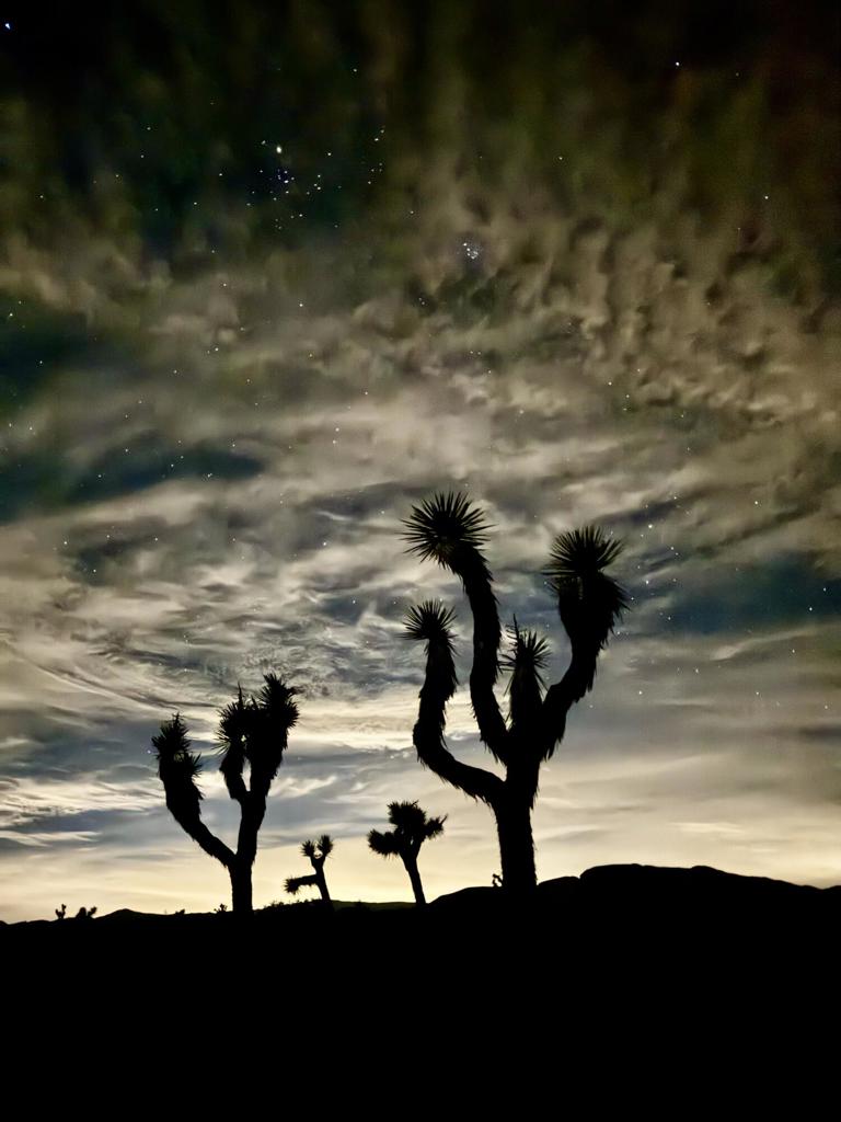 Not Applicable-1 - Land