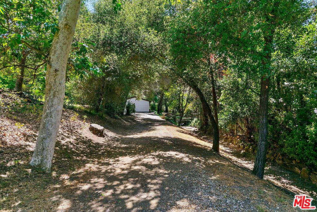 25813 Dark Creek Road