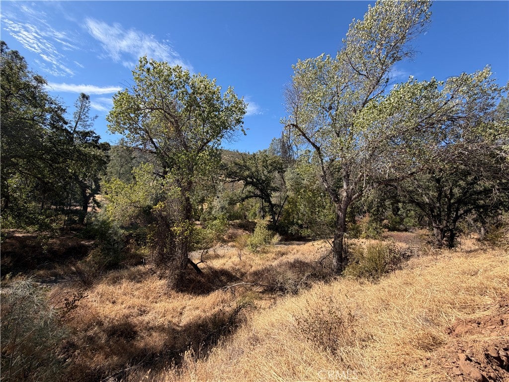 0 Goat Mountain Road