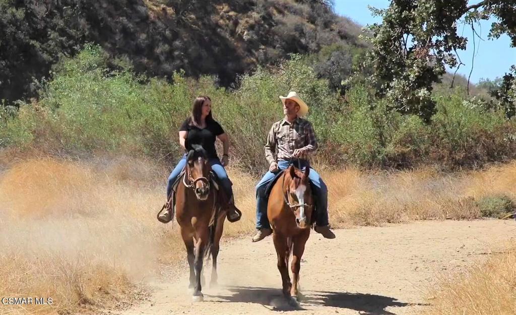 Bridle Path (SDLBK)-317 - 317 - Residential