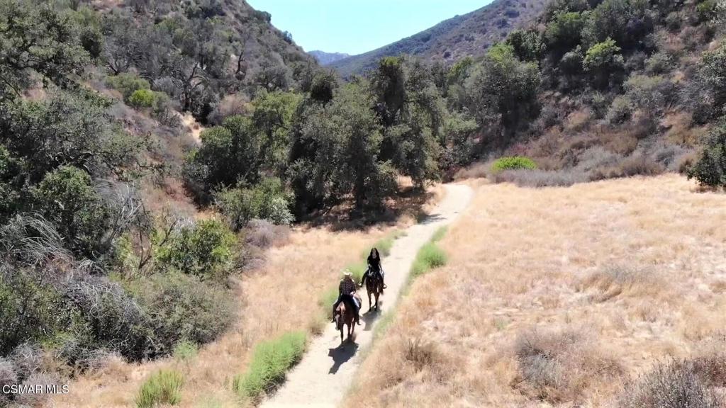 Bridle Path (SDLBK)-317 - 317 - Residential