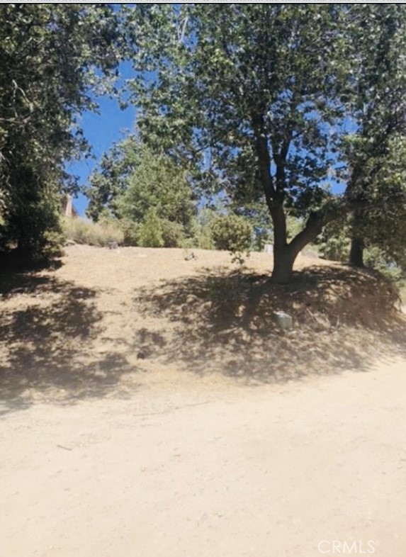 Cedar Glen (CEDG) - Land