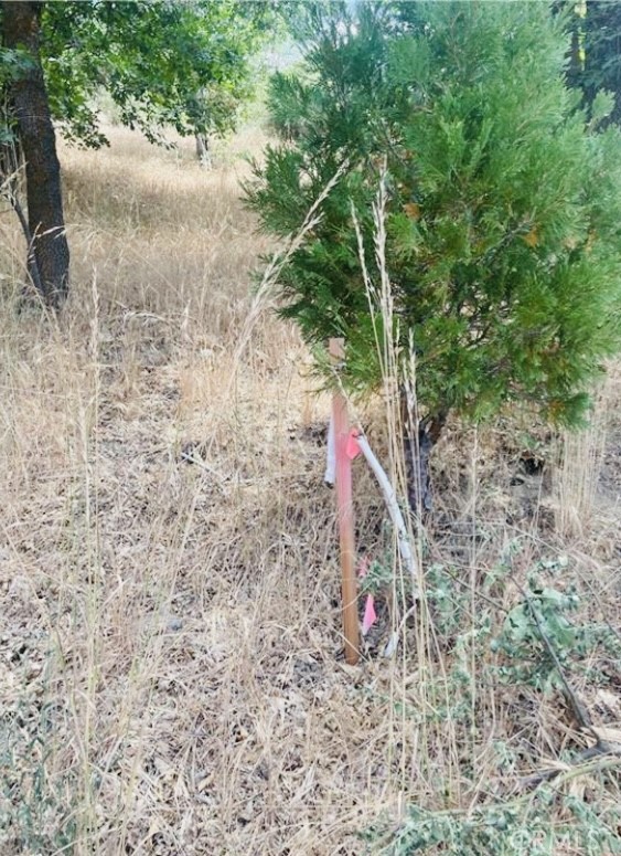 Cedar Glen (CEDG) - Land