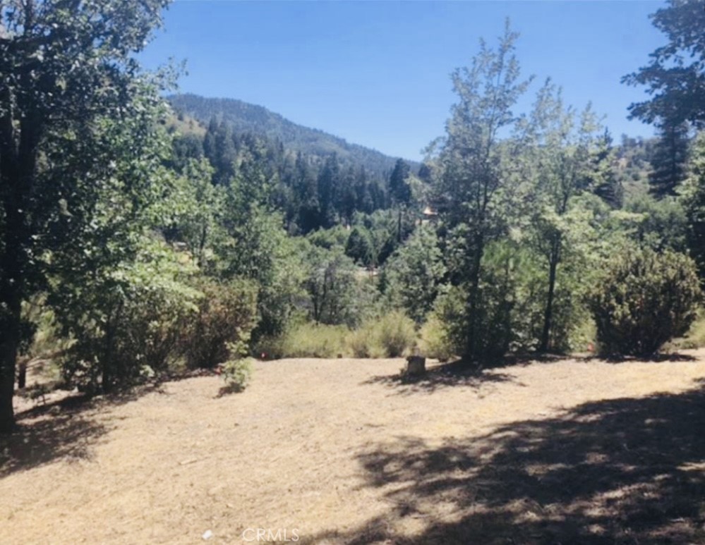 Cedar Glen (CEDG) - Land