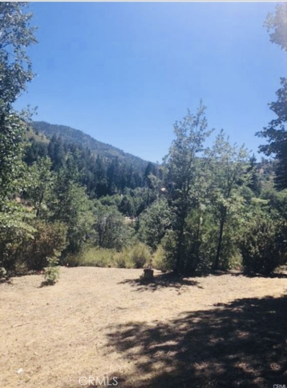 Cedar Glen (CEDG) - Land