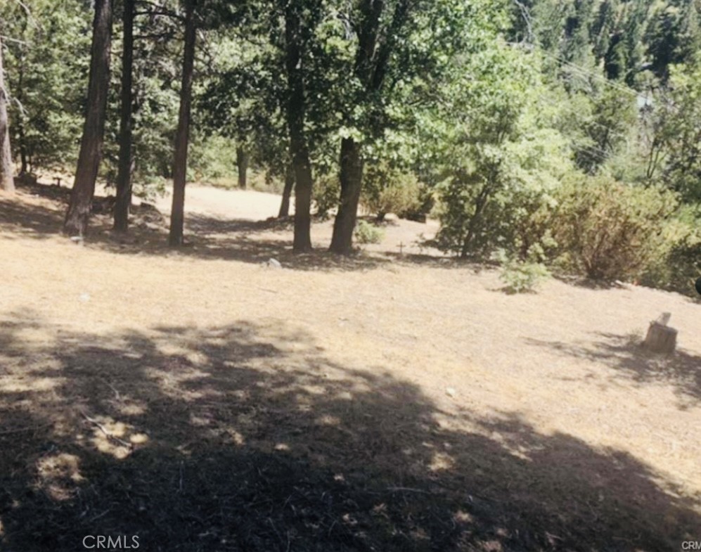 Cedar Glen (CEDG) - Land